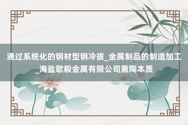通过系统化的钢材型钢冷拔_金属制品的制造加工_海盐歌毅金属有限公司熏陶本质