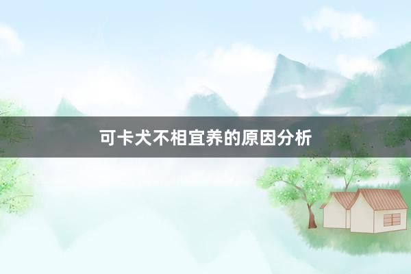 可卡犬不相宜养的原因分析