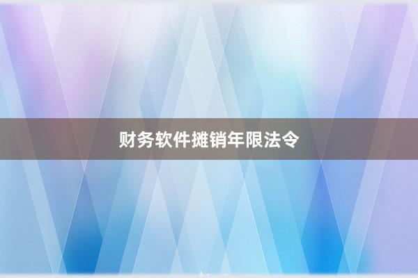 财务软件摊销年限法令